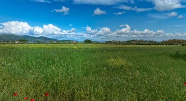 Номер Standard Agriturismo Lucerna del Lago Prile