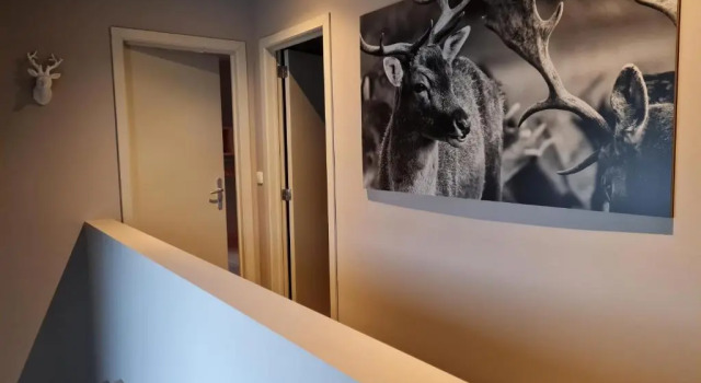 Ardennature vakantiehuizen met privé-sauna, Забронировать Отель Ла-Рош-ан-Арден 