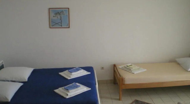 Студия Vila Skocidjevojka