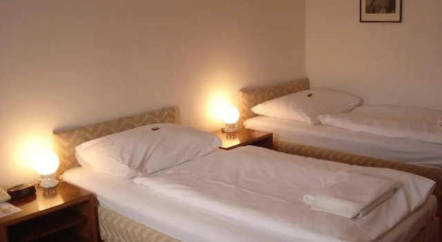 Двухместный номер Standard A-Austerlitz Hotel