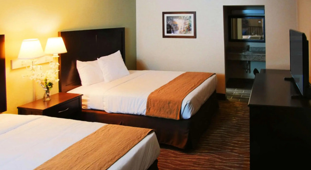 Четырёхместный номер Standard Quality Inn & Suites