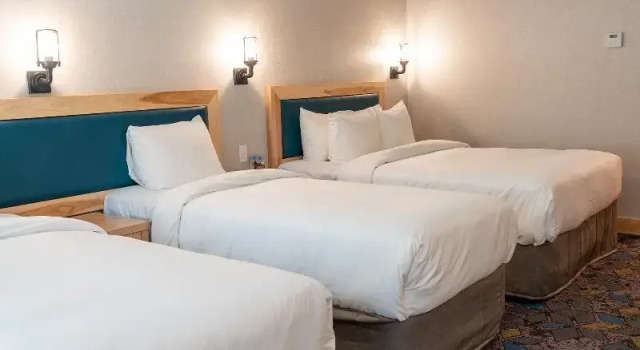 Suite con balcone Tunnel Mountain Resort