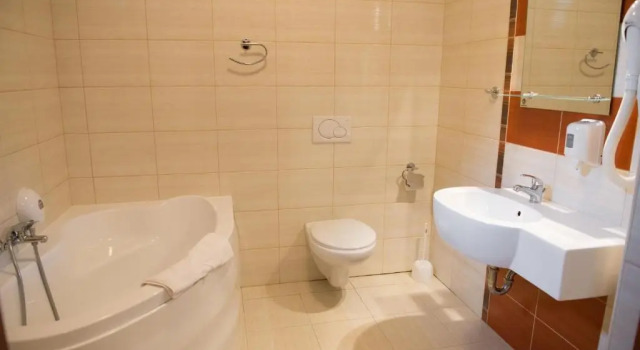 Апартаменты Deluxe Hotel i Restauracja Borowianka