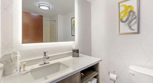 Двухместный люкс Comfort Suites Whitsett - Greensboro East
