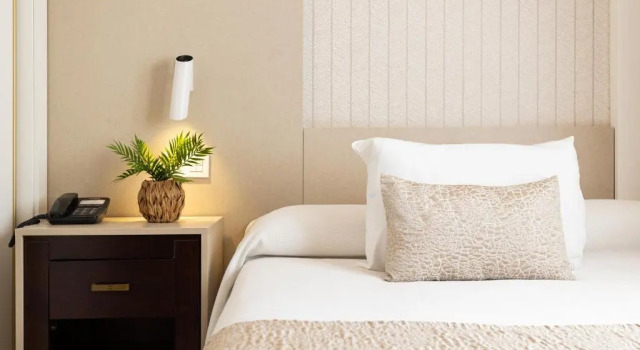 Одноместный номер Business Hotel Plaza Del Castillo