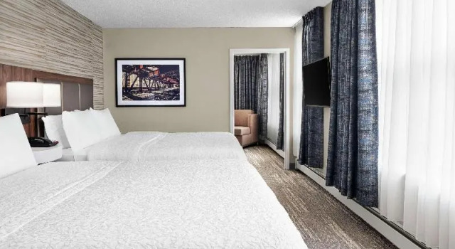 Люкс c 1 комнатой Hampton Inn & Suites Chicago-Downtown