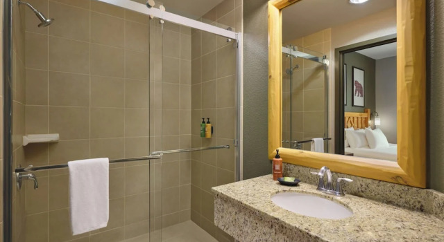 Номер Standard Great Wolf Lodge Anaheim, CA