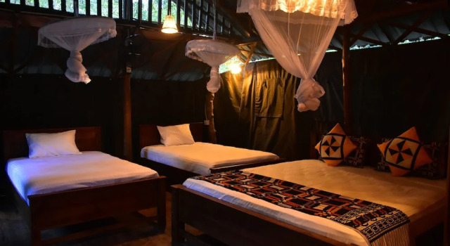 Семейный номер Standard Lizard Safari Lodge