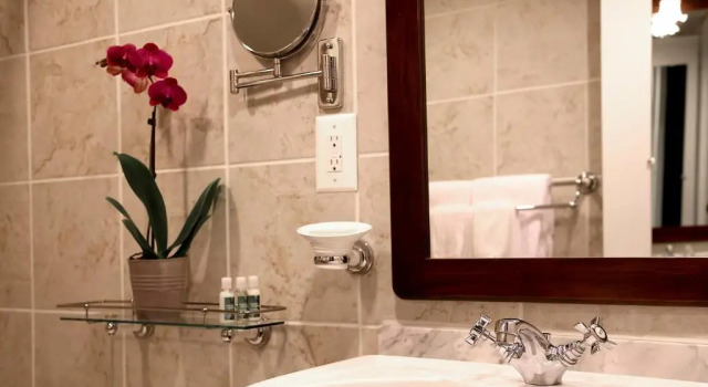 Двухместный люкс The Windsor Suites
