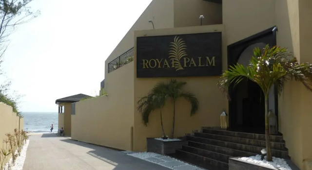 Royal Palm