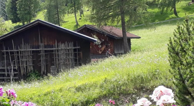 Апартаменты с видом на горы Landhaus Elke