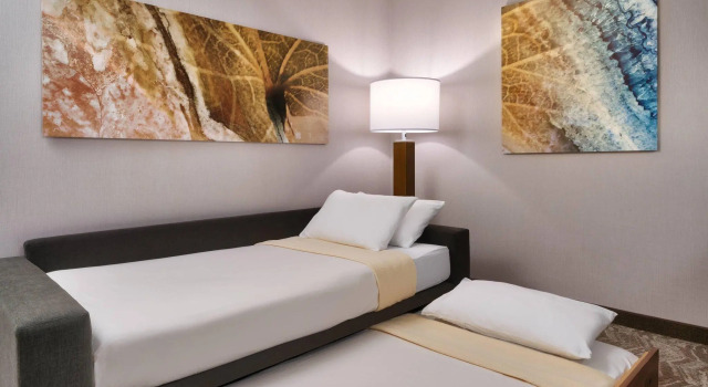 Четырёхместный люкс SpringHill Suites by Marriott El Paso Airport
