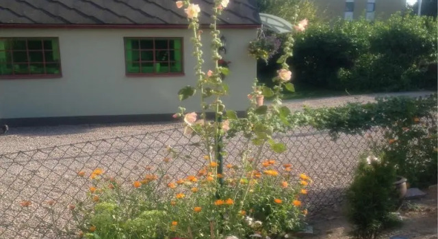 Коттедж c 1 комнатой Vivans Bed and Self catering