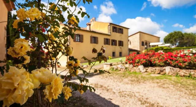 Donzellino