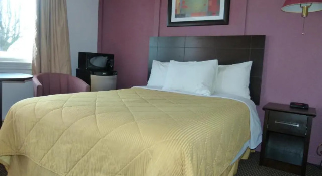 Люкс Country Squire Motel