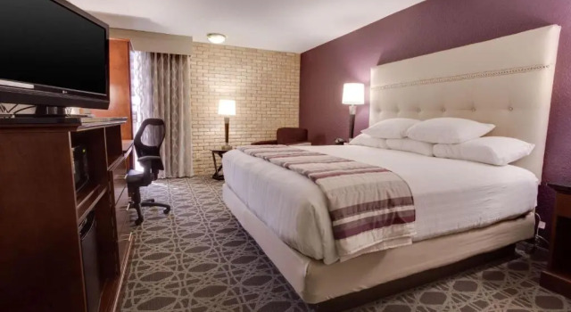 Двухместный номер Superior Drury Plaza Hotel San Antonio Airport