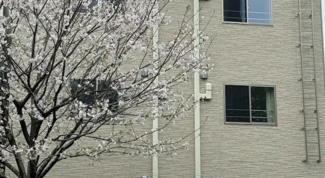 Hotel SHUTEC, Забронировать Отель Ōkuchi Кагосима, рядом с Amu Plaza Kagoshima