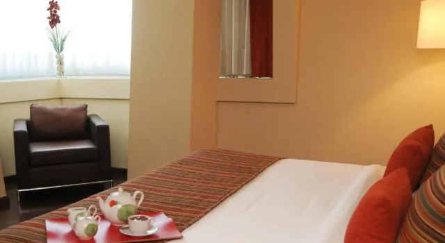 Двухместный номер Executive Hotel Del Bono Park