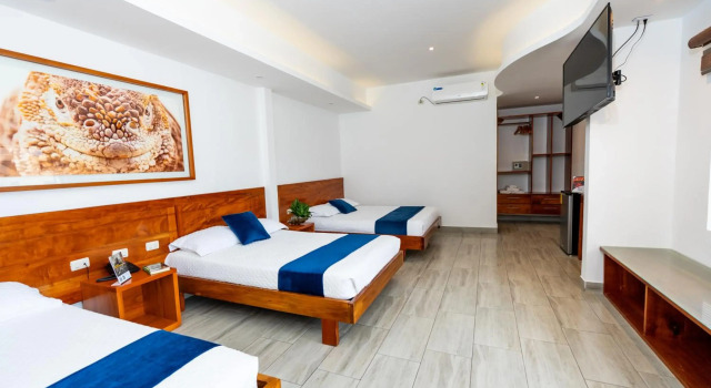 Hotel Ninfa, Забронировать Отель Отели и гостиницы Пуэрто Айора, Отель