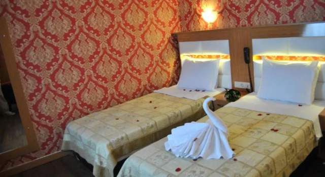 Двухместный номер Standard Hotel Star Park