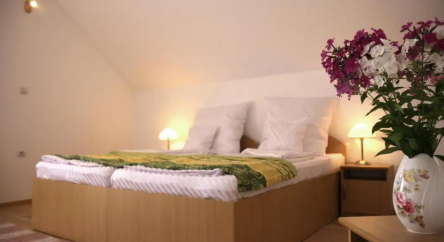 Номер Standard Pensiunea Sighisoara