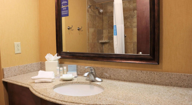 Четырёхместный номер Standard Hampton Inn & Suites Thibodaux