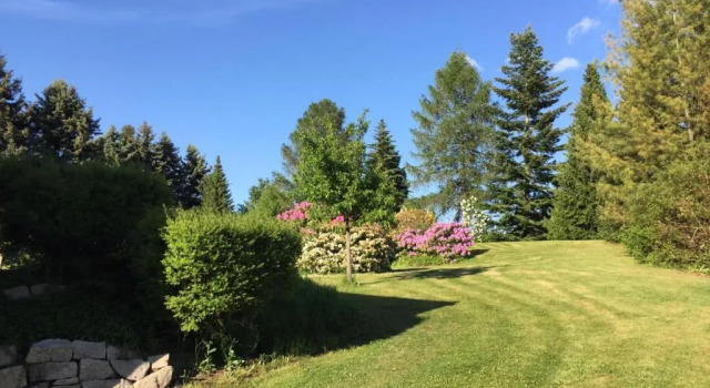 Номер Standard Hotel am Kunnerstein