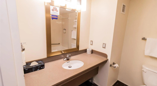 Двухместный номер Standard Deer Lake Horizon Hotel, BW Signature Collection