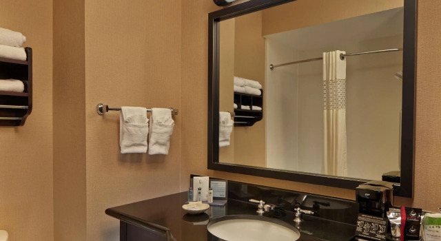 Двухместный номер Standard Hampton Inn & Suites Decatur