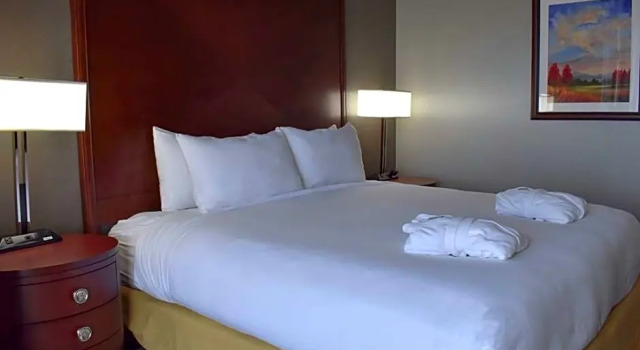 Номер Premium DoubleTree by Hilton Biltmore/Asheville
