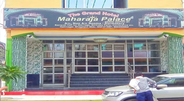 Spot On 44288 Maharaja Palace