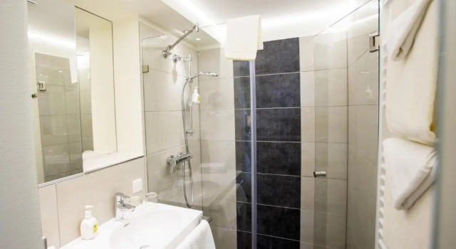 Номер Superior Pfalzhotel Asselheim