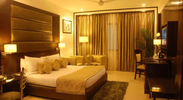 Двухместный номер Deluxe Hotel Shanti Palace Mahipalpur