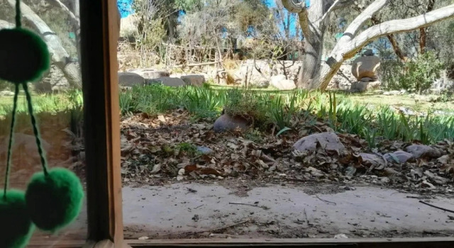 La Casa del Indio, Prenota Hotel Tilcara Quebrada de Humahuaca