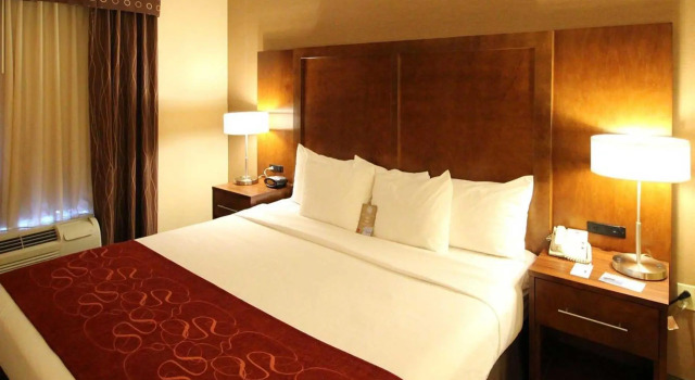 Двухместный номер Standard Comfort Suites Near University