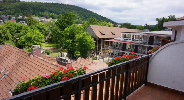 Двухместный номер Standard с балконом Hotel Lorösch