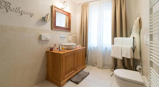 Одноместный номер Standard Boutiquehotel Amadeus