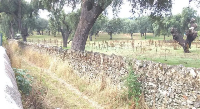 Huerta del Sol, Prenota Hotel  