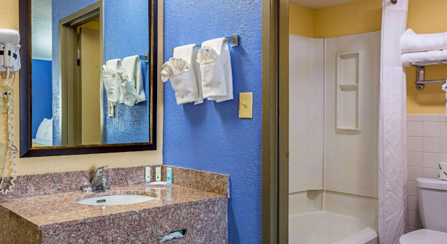 Четырёхместный номер Standard Quality Inn & Suites near Six Flags East