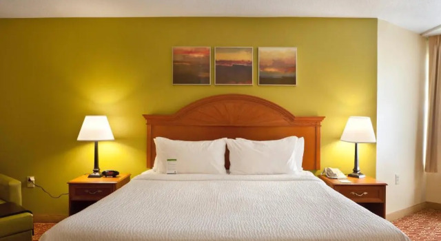 Двухместный люкс c 1 комнатой TownePlace Suites Wilmington Newark / Christiana