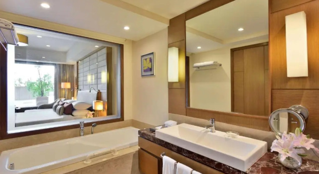 Двухместный номер Business Class Radisson Blu Hotel, Indore