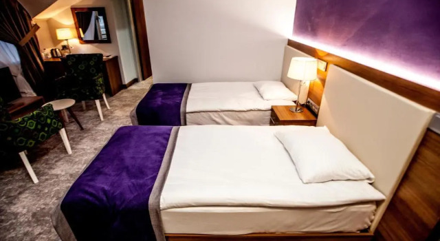 Номер Classic Business Palas Otel