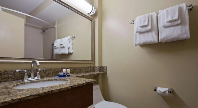 Двухместный номер Standard с видом на бассейн Best Western Charleston Inn