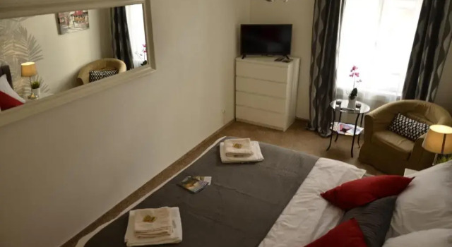 Полулюкс Deluxe Beautiful Apartments in Prague