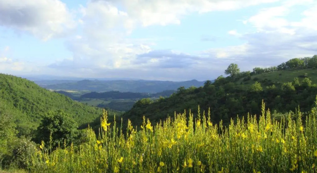 Fattoria Didattica Gli Allori, Varaa Hotelli Perugia Umbria