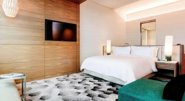 Двухместный полулюкс Skyline view Sofitel Mexico City Reforma