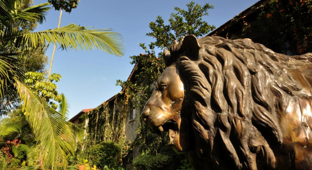 Tiêu chuẩn Phòng Suite Hotel La Mada