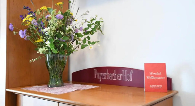 Номер Standard Hotel Payerbacherhof