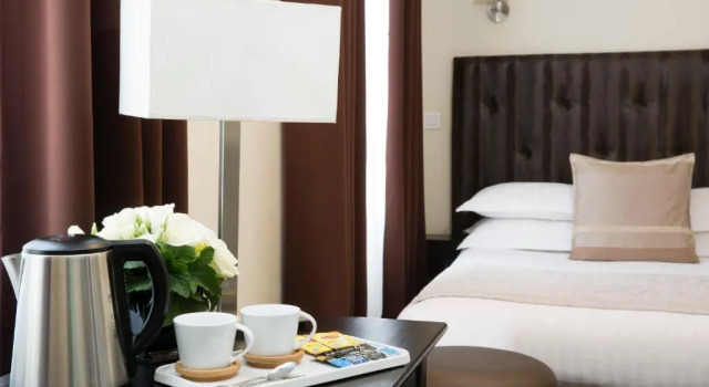 Двухместный номер Superior Lion dOr Paris Suites