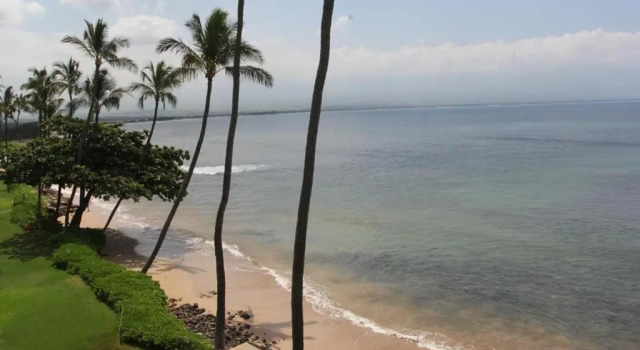 Kanai A Nalu 212 2 Bedrooms 2 Bathrooms Condo